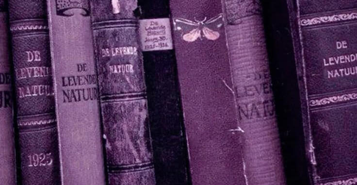LIST OF THINGS